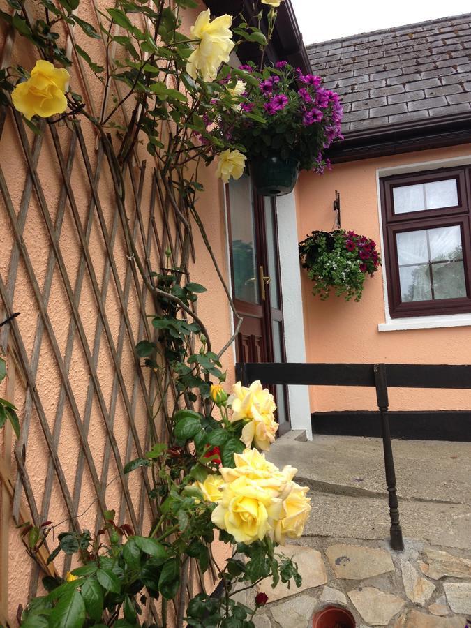 Eriu Lodge Clifden Dış mekan fotoğraf