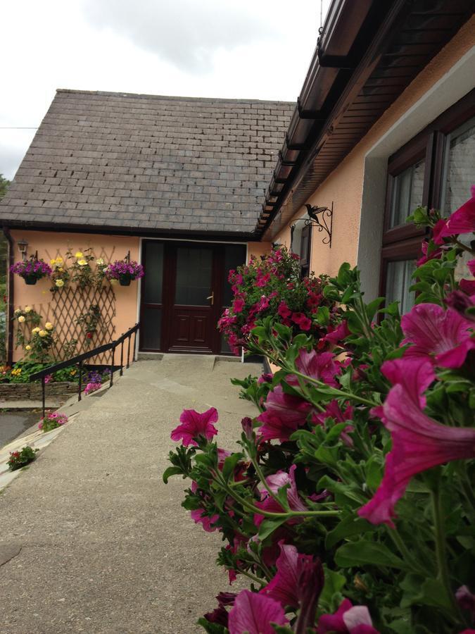 Eriu Lodge Clifden Dış mekan fotoğraf